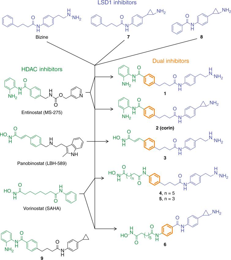 https://cdn.ncbi.nlm.nih.gov/pmc/blobs/b2fa/5754352/0e995a53c7d5/41467_2017_2242_Fig1_HTML.jpg