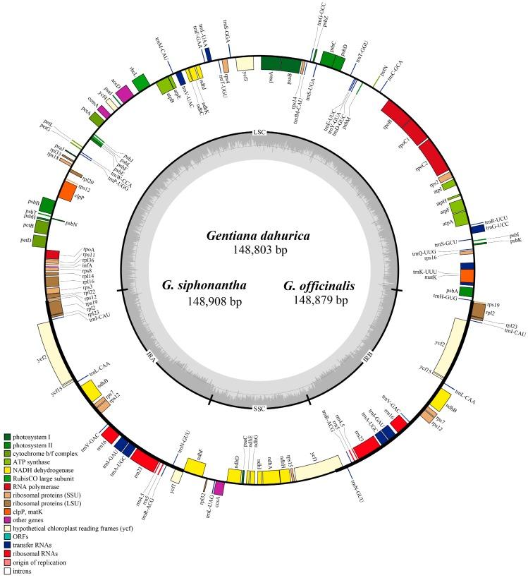 https://cdn.ncbi.nlm.nih.gov/pmc/blobs/b2fa/6073106/da158096299a/ijms-19-01962-g001.jpg