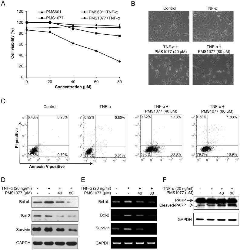 https://cdn.ncbi.nlm.nih.gov/pmc/blobs/b2fd/3621893/22a73f7b3f12/pone.0061132.g007.jpg