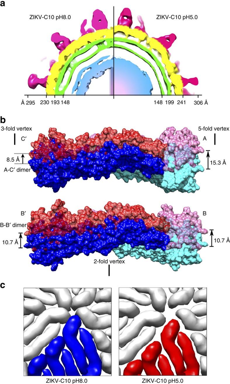 https://cdn.ncbi.nlm.nih.gov/pmc/blobs/b2fd/5123051/2eed454e0d3e/ncomms13679-f4.jpg