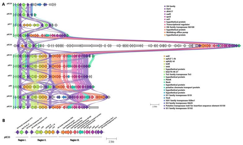 https://cdn.ncbi.nlm.nih.gov/pmc/blobs/b2fe/11047377/2943410da299/antibiotics-13-00363-g004.jpg