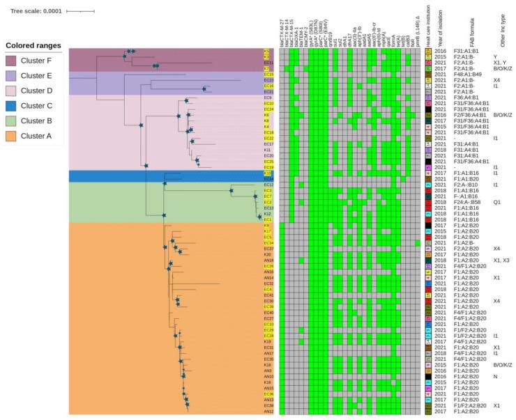 https://cdn.ncbi.nlm.nih.gov/pmc/blobs/b2fe/11047377/e10f6fb18410/antibiotics-13-00363-g001.jpg