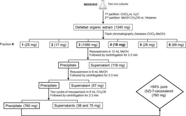 https://cdn.ncbi.nlm.nih.gov/pmc/blobs/b2fe/8313427/4732e71ec45f/41429_2021_432_Fig4_HTML.jpg