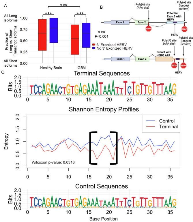 https://cdn.ncbi.nlm.nih.gov/pmc/blobs/b2ff/12265125/af0aa4263298/13100_2025_365_Fig3_HTML.jpg