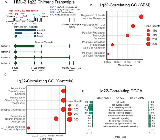 https://cdn.ncbi.nlm.nih.gov/pmc/blobs/b2ff/12265125/e9435bf4acbd/13100_2025_365_Fig5_HTML.jpg