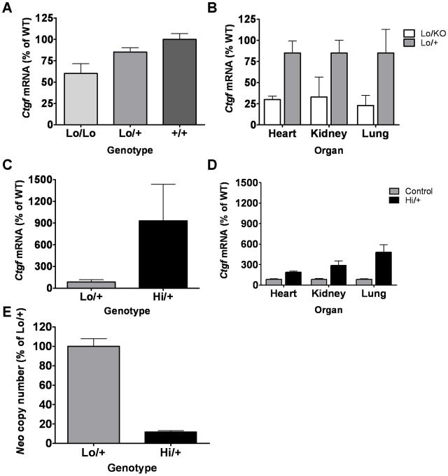 https://cdn.ncbi.nlm.nih.gov/pmc/blobs/b2ff/2943916/168a3faa57a9/pone.0012909.g002.jpg