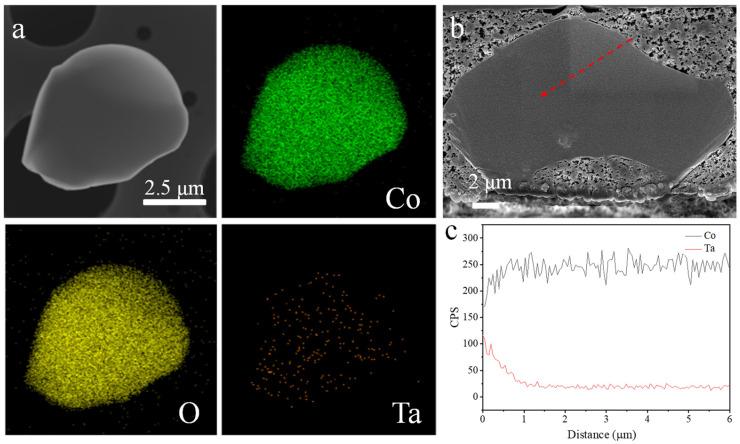 https://cdn.ncbi.nlm.nih.gov/pmc/blobs/b300/10820433/2093a01173c5/nanomaterials-14-00147-g002.jpg