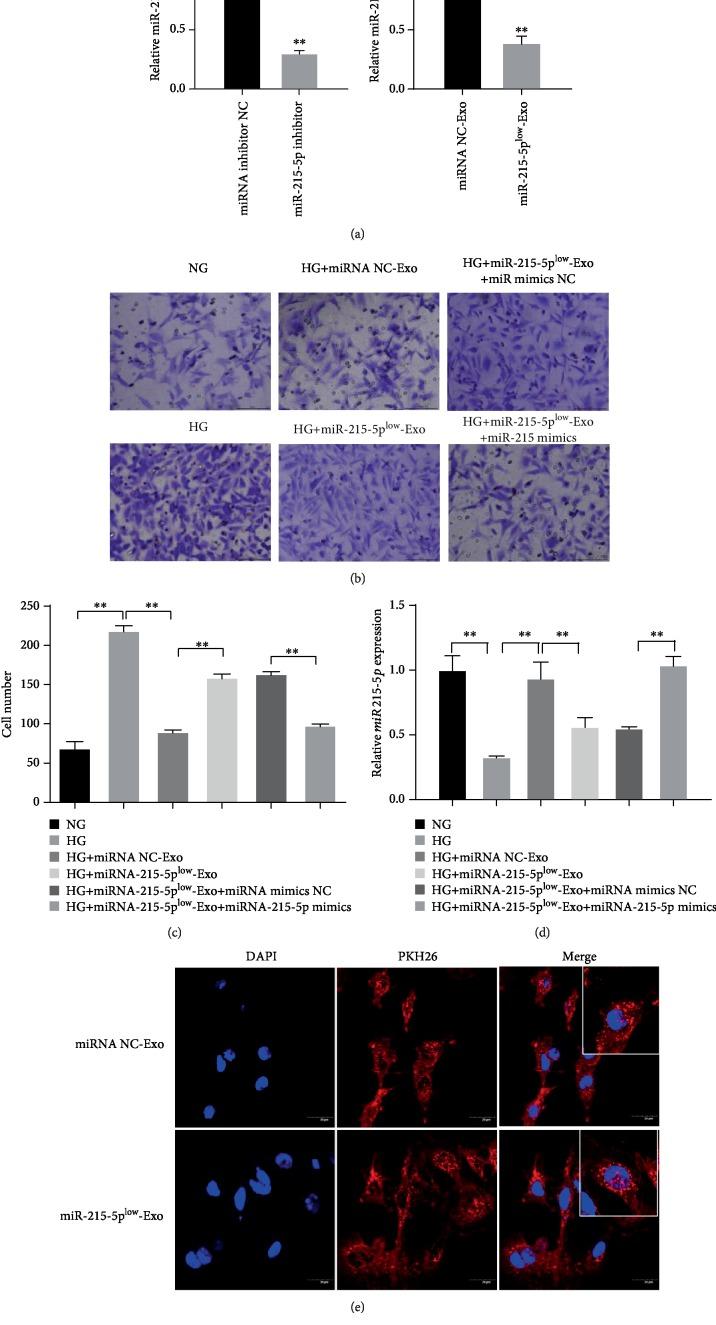 https://cdn.ncbi.nlm.nih.gov/pmc/blobs/b300/7057016/a7e24dfbdd5c/BMRI2020-2685305.004.jpg