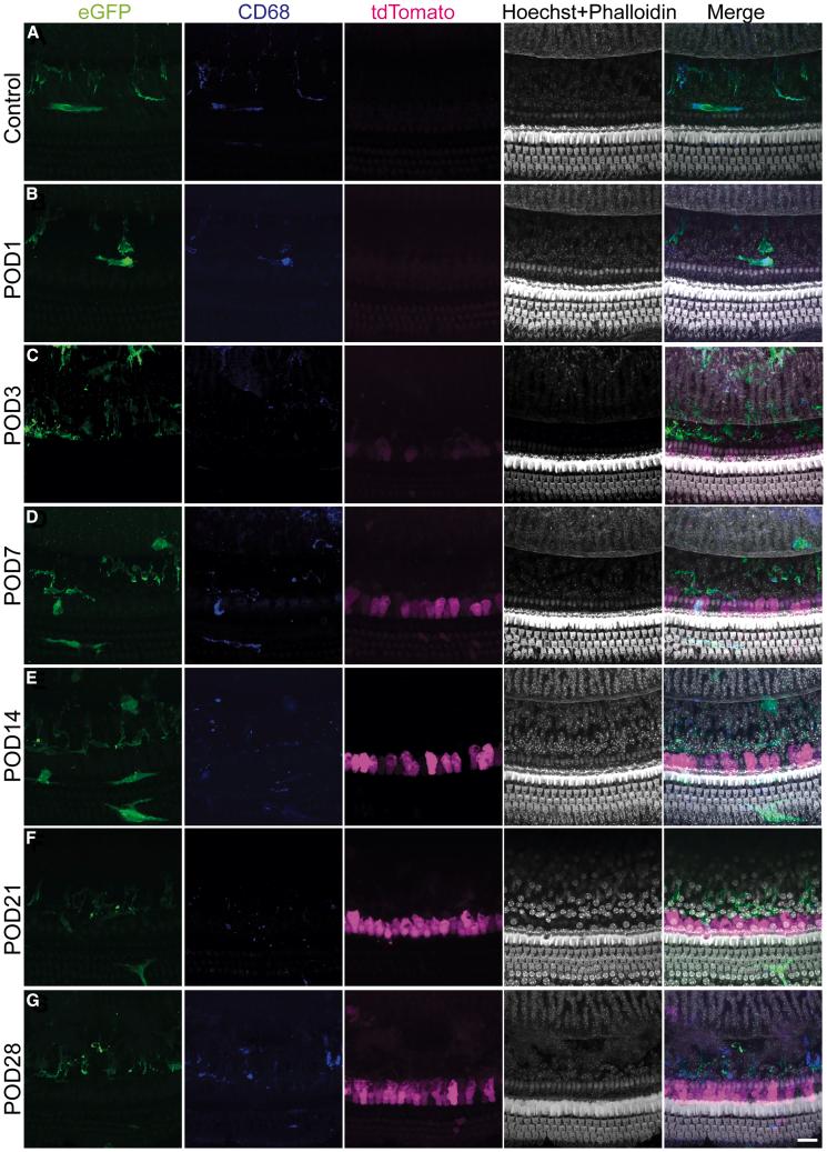 https://cdn.ncbi.nlm.nih.gov/pmc/blobs/b301/11999604/131e4d8428a7/gr2.jpg