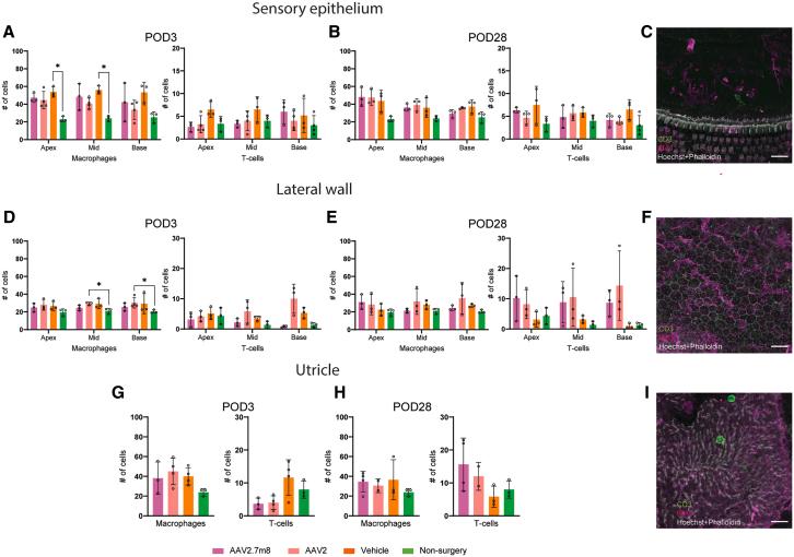 https://cdn.ncbi.nlm.nih.gov/pmc/blobs/b301/11999604/13505cab4470/gr3.jpg