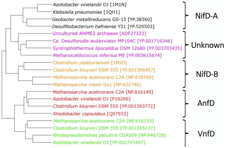 https://cdn.ncbi.nlm.nih.gov/pmc/blobs/b302/3578447/cc2f2dfe01b6/fmicb-03-00419-g004.jpg