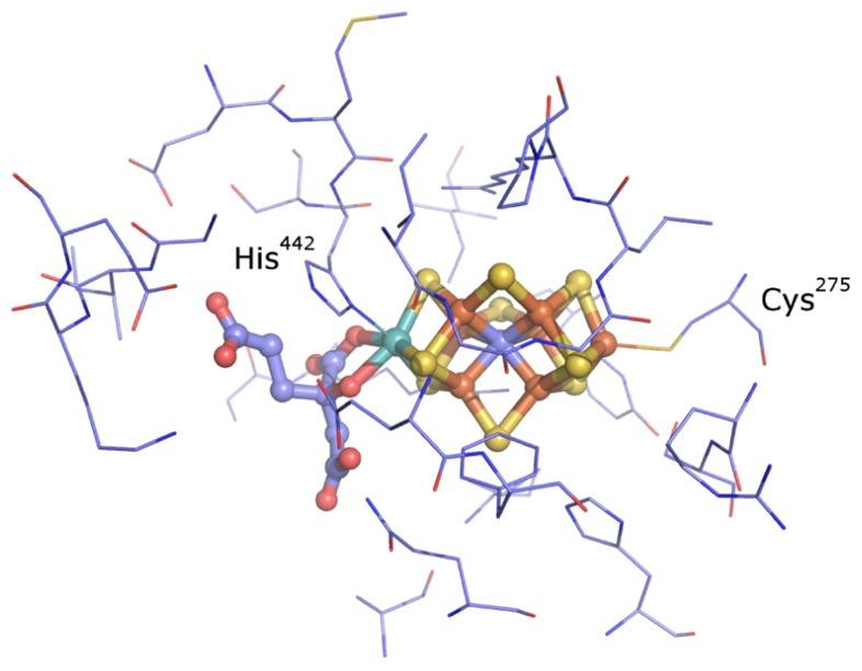 https://cdn.ncbi.nlm.nih.gov/pmc/blobs/b302/3578447/df0f679fa266/fmicb-03-00419-g001.jpg