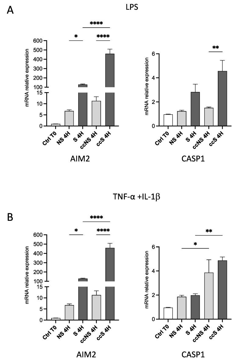 https://cdn.ncbi.nlm.nih.gov/pmc/blobs/b303/11120068/17d35f285b45/cells-13-00836-g002.jpg