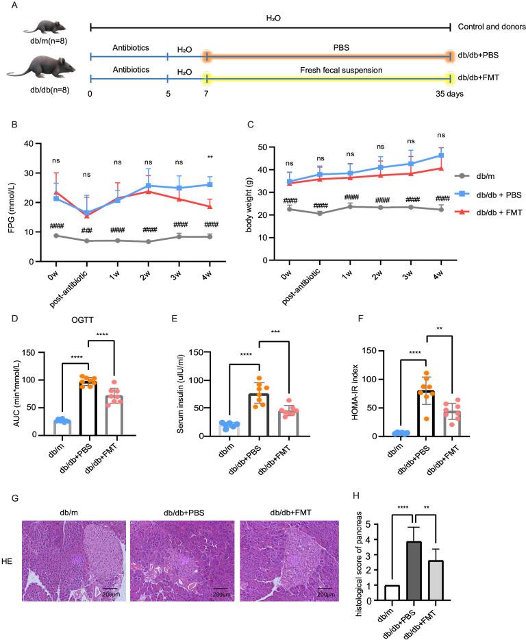 https://cdn.ncbi.nlm.nih.gov/pmc/blobs/b305/10230930/e8937ecf162b/bmjdrc-2022-003282f01.jpg