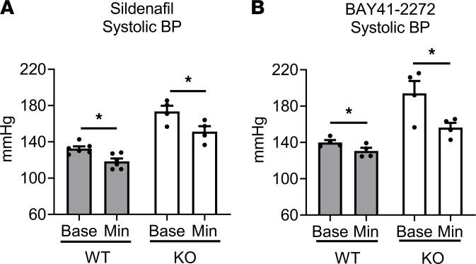 https://cdn.ncbi.nlm.nih.gov/pmc/blobs/b305/8492323/3c09e459db9f/jciinsight-6-149075-g005.jpg