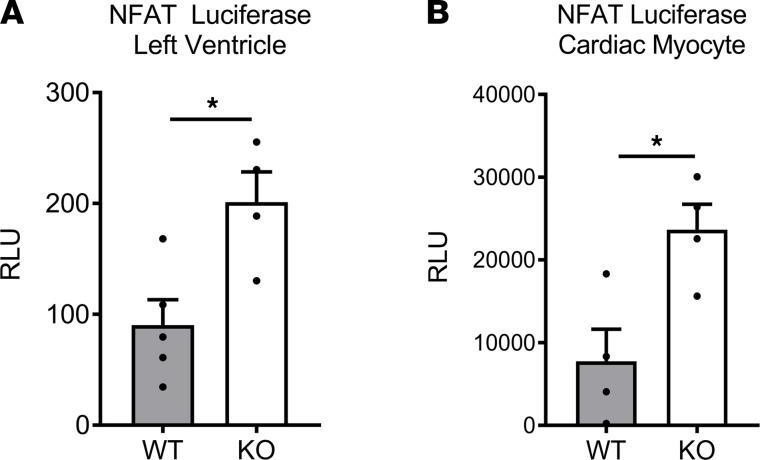 https://cdn.ncbi.nlm.nih.gov/pmc/blobs/b305/8492323/be23a19f90ce/jciinsight-6-149075-g003.jpg
