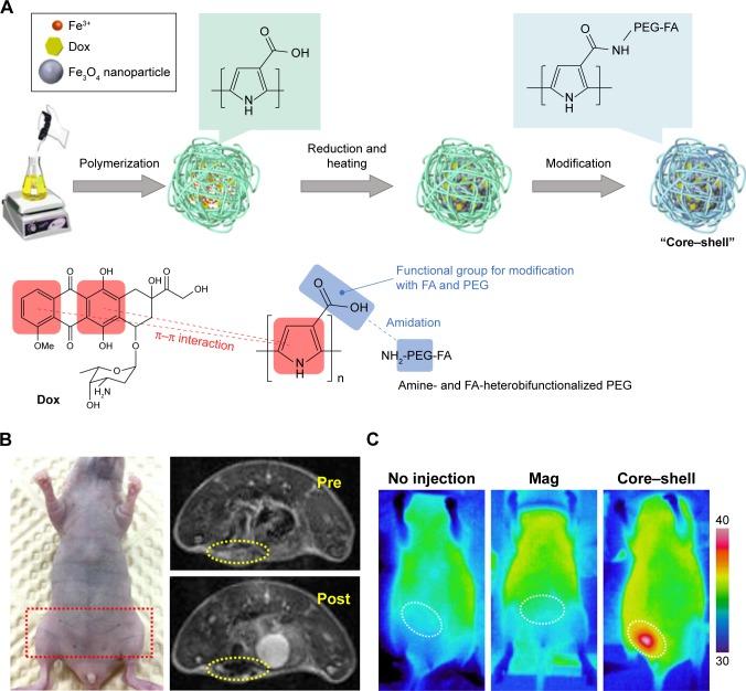 https://cdn.ncbi.nlm.nih.gov/pmc/blobs/b307/6061201/4e398a915584/ijn-13-4263Fig8.jpg