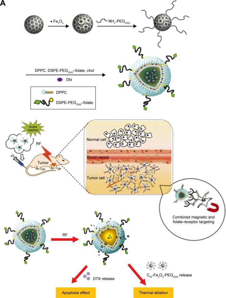 https://cdn.ncbi.nlm.nih.gov/pmc/blobs/b307/6061201/9fd80b27df1d/ijn-13-4263Fig7.jpg