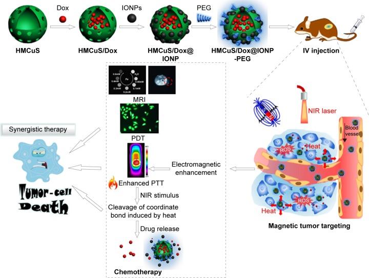 https://cdn.ncbi.nlm.nih.gov/pmc/blobs/b307/6061201/de8741a088c7/ijn-13-4263Fig6.jpg