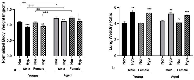 https://cdn.ncbi.nlm.nih.gov/pmc/blobs/b309/10252211/9942dde278ff/cells-12-01457-g001a.jpg
