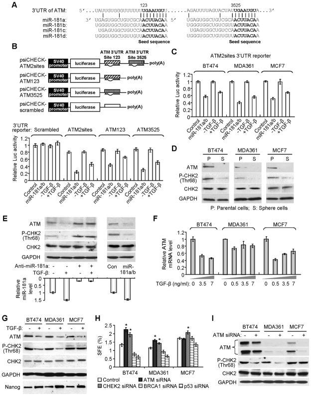 https://cdn.ncbi.nlm.nih.gov/pmc/blobs/b30a/3063856/0f368eb27803/nihms246124f5.jpg