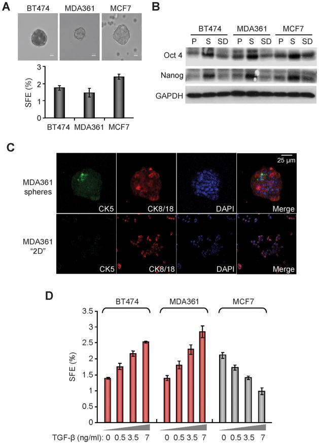 https://cdn.ncbi.nlm.nih.gov/pmc/blobs/b30a/3063856/16e8beeb460f/nihms246124f2.jpg