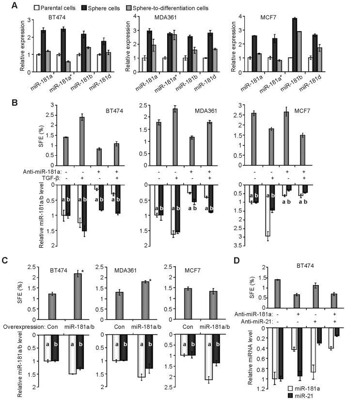 https://cdn.ncbi.nlm.nih.gov/pmc/blobs/b30a/3063856/498bdd7d787b/nihms246124f3.jpg