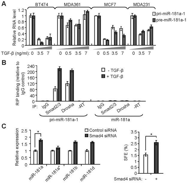 https://cdn.ncbi.nlm.nih.gov/pmc/blobs/b30a/3063856/8ea143ae6322/nihms246124f4.jpg