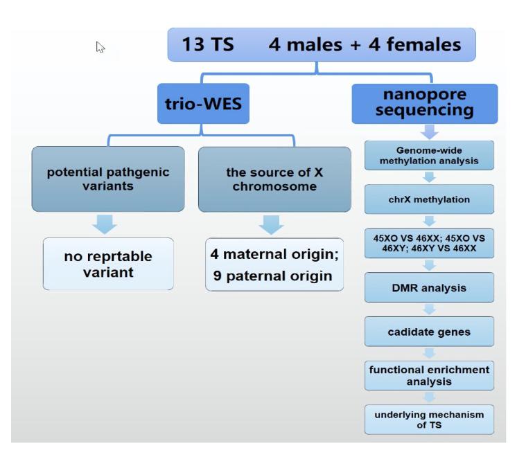 https://cdn.ncbi.nlm.nih.gov/pmc/blobs/b30c/9225209/224cda5b3698/jpm-12-00872-g001.jpg