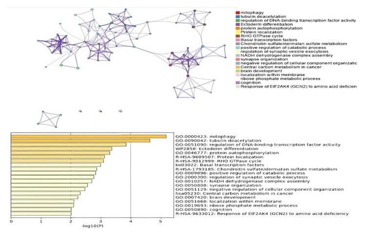 https://cdn.ncbi.nlm.nih.gov/pmc/blobs/b30c/9225209/659e04e4988e/jpm-12-00872-g007.jpg