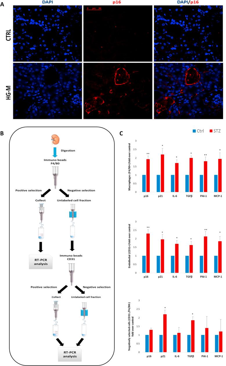 https://cdn.ncbi.nlm.nih.gov/pmc/blobs/b311/5735298/2cef3fae9107/gr2.jpg