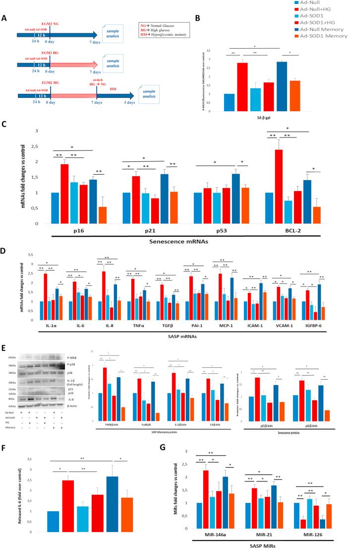 https://cdn.ncbi.nlm.nih.gov/pmc/blobs/b311/5735298/383148e8f0c0/gr4.jpg