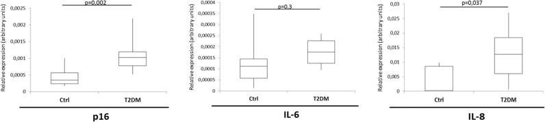 https://cdn.ncbi.nlm.nih.gov/pmc/blobs/b311/5735298/43d1d235d397/gr6.jpg