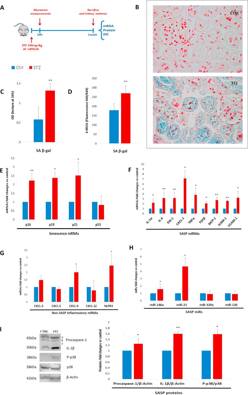 https://cdn.ncbi.nlm.nih.gov/pmc/blobs/b311/5735298/66d65ccc3e17/gr1.jpg