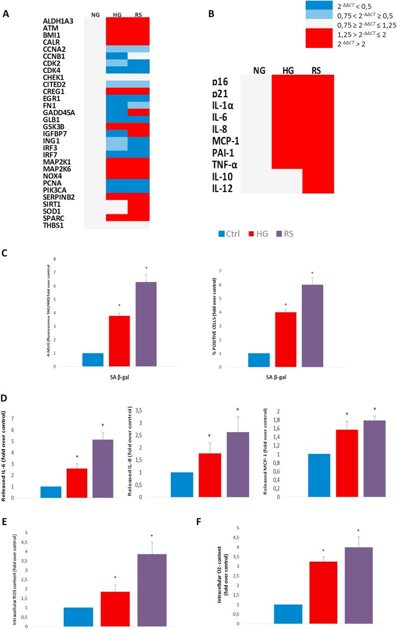 https://cdn.ncbi.nlm.nih.gov/pmc/blobs/b311/5735298/842850bdf431/gr3.jpg