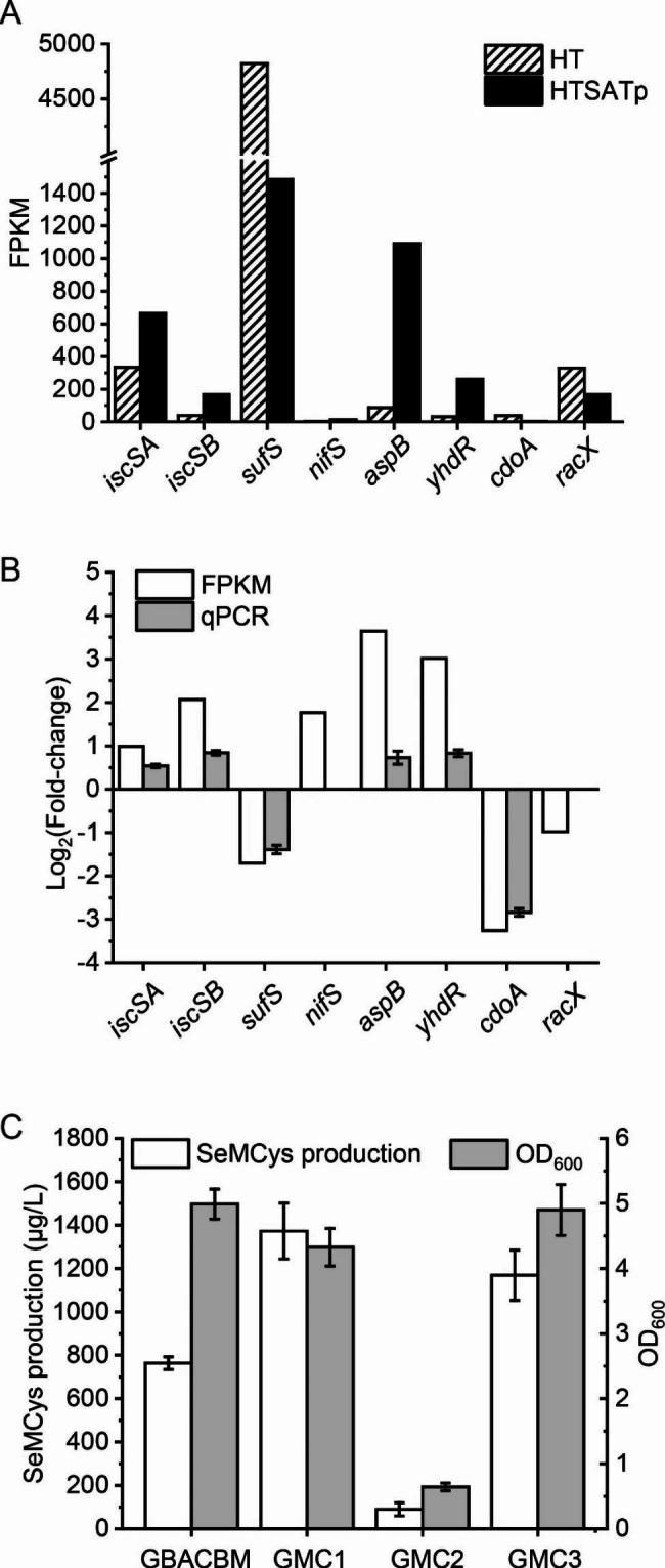 https://cdn.ncbi.nlm.nih.gov/pmc/blobs/b313/10585787/d39bbb6c09a0/12934_2023_2203_Fig3_HTML.jpg