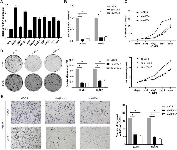 https://cdn.ncbi.nlm.nih.gov/pmc/blobs/b314/11793227/c8637439a220/432_2023_5552_Fig2_HTML.jpg