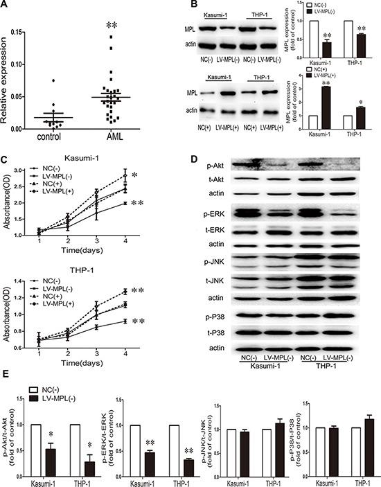 https://cdn.ncbi.nlm.nih.gov/pmc/blobs/b315/4695004/c87fd1ffb60c/oncotarget-06-27490-g005.jpg