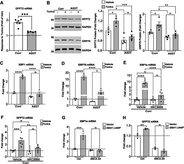 https://cdn.ncbi.nlm.nih.gov/pmc/blobs/b316/11186828/532d528dbdbf/41467_2024_49256_Fig3_HTML.jpg