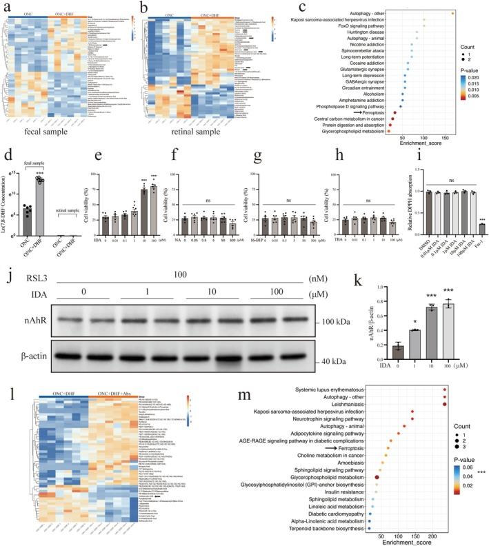 https://cdn.ncbi.nlm.nih.gov/pmc/blobs/b316/12076127/c8134840c772/CNS-31-e70442-g003.jpg