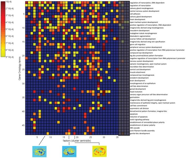 https://cdn.ncbi.nlm.nih.gov/pmc/blobs/b316/3140966/5d530b01bb57/pcbi.1002098.g005.jpg