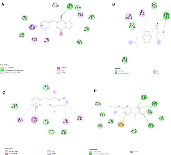 https://cdn.ncbi.nlm.nih.gov/pmc/blobs/b319/9727203/afbd59e93f81/fphar-13-1053744-g012.jpg
