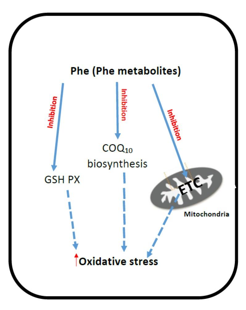 https://cdn.ncbi.nlm.nih.gov/pmc/blobs/b31a/5532579/90592a976d97/jcm-06-00071-g002.jpg