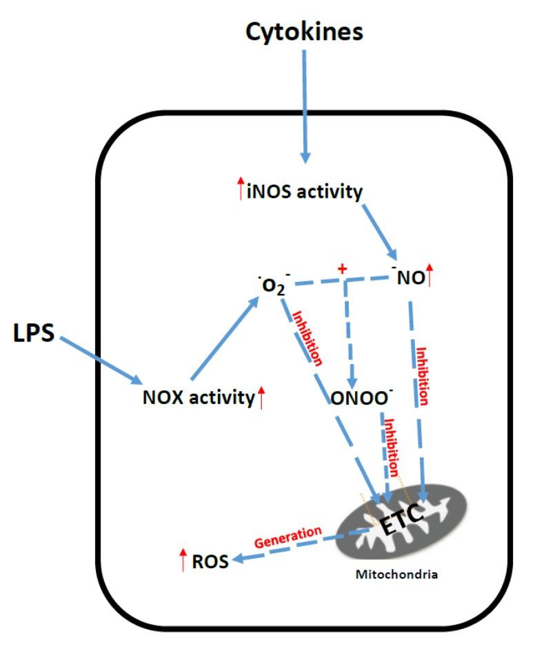 https://cdn.ncbi.nlm.nih.gov/pmc/blobs/b31a/5532579/de05362780c7/jcm-06-00071-g007.jpg