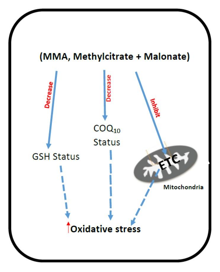 https://cdn.ncbi.nlm.nih.gov/pmc/blobs/b31a/5532579/e153e069357d/jcm-06-00071-g004.jpg