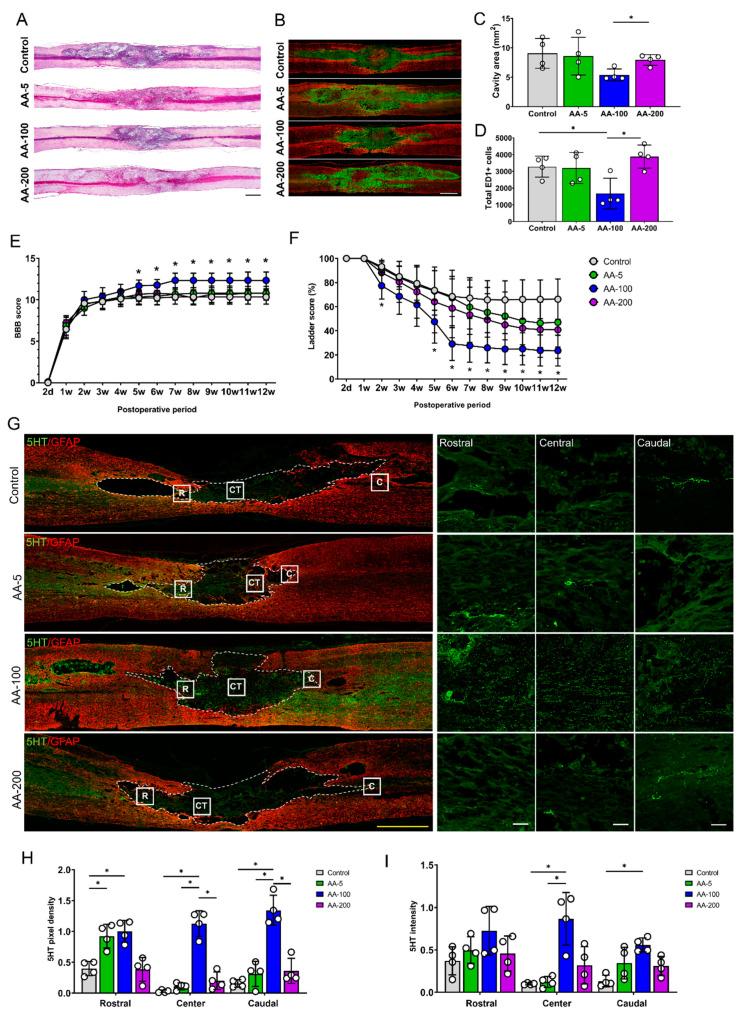https://cdn.ncbi.nlm.nih.gov/pmc/blobs/b31a/7290865/a1620d3973e2/cells-09-01310-g003.jpg