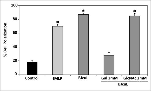 https://cdn.ncbi.nlm.nih.gov/pmc/blobs/b31b/3039632/bd4f920afbb6/1471-2172-12-10-2.jpg