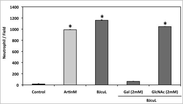 https://cdn.ncbi.nlm.nih.gov/pmc/blobs/b31b/3039632/cf84517ac87c/1471-2172-12-10-3.jpg