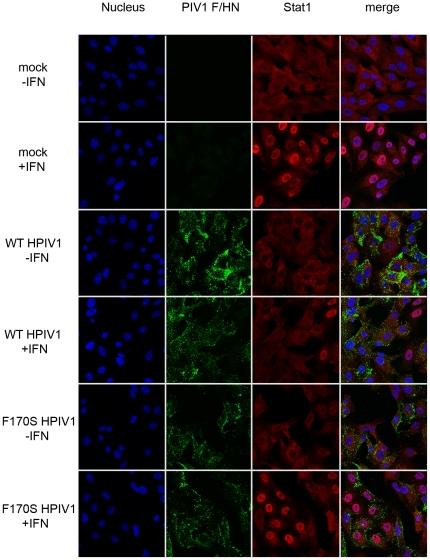 https://cdn.ncbi.nlm.nih.gov/pmc/blobs/b31b/3280236/21a45e118308/pone.0028382.g003.jpg
