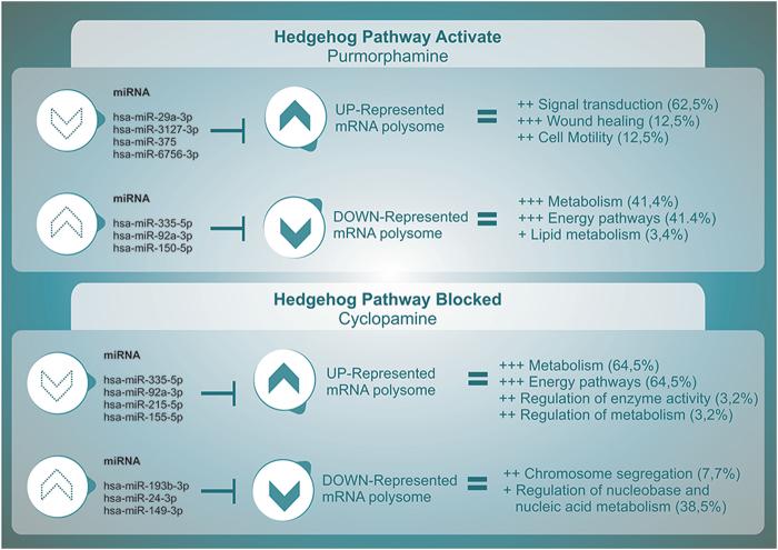 https://cdn.ncbi.nlm.nih.gov/pmc/blobs/b31b/5976649/6caa7819c39a/41598_2018_26533_Fig4_HTML.jpg